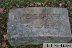 Amos G. Osborn