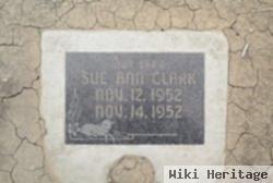 Sue Ann Clark