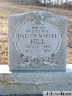 Dalton Marcel Hill