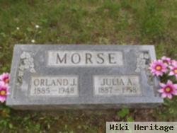 Julia A Morse