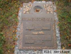 Edwin J Brumenschenkel