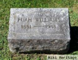 Puah T Williams