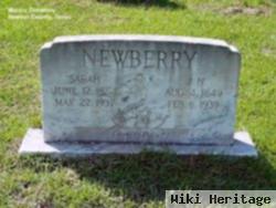 Sarah Ann Smith Newberry