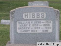 Harry Hibbs