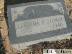 Lucinda P Sturdy