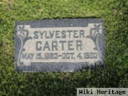 Sylvester Carter