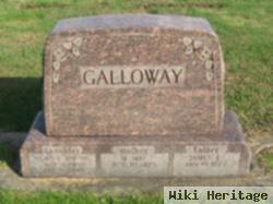 James L Galloway