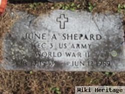 June A Shepard