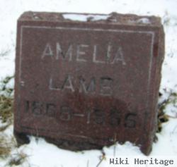 Amelia Calmbach Lamb