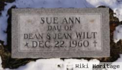 Sue Ann Wilt