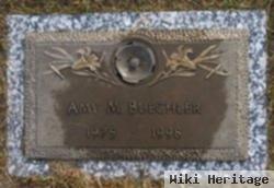 Amy M Buechler