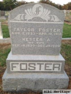 Taylor Foster