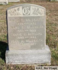 John A. Goldsmith