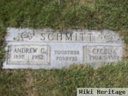 Andrew Christopher Schmitt