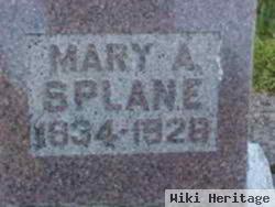 Mary A Sheppard Splane