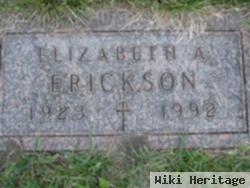 Elizabeth A Erickson