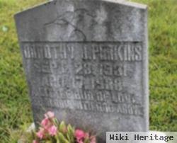 Dorthy J. Perkins