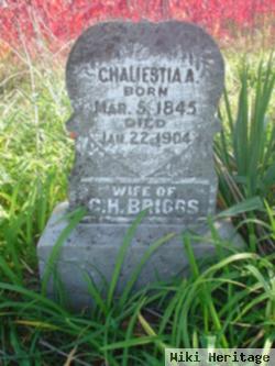 Chalista Ann Williams Briggs