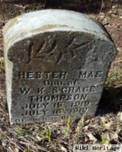 Hester Mae Thompson