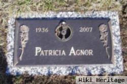 Patricia Anne "pat" Grode Agnor