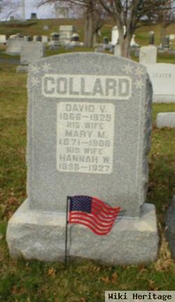 David V Collard