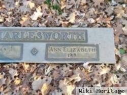 Ann Elizabeth Brown Charlesworth