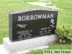 Mary Delores Sackett Borrowman