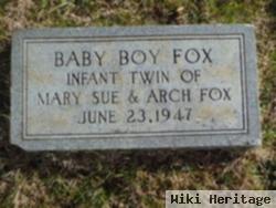 Baby Boy Fox