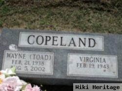 Burt Wayne "toad" Copeland