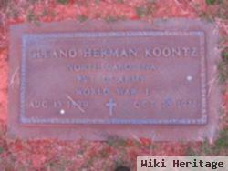 Cleano Herman Koontz