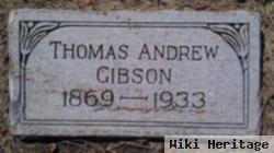 Thomas Andrew Gibson