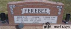 Dixie Lee Jahnke Ferebee