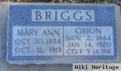 Mary Ann Briggs