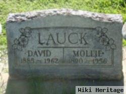 Mollie Lauck