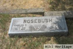 Charles Hulbert Rosebush