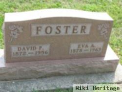 David P Foster