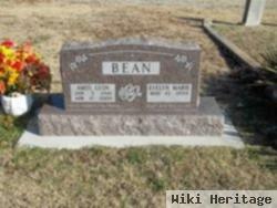 Amos Leon Bean