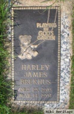 Harley James Brekhus