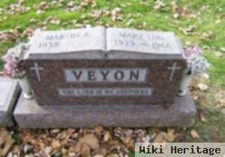 Mary Ann Veyon