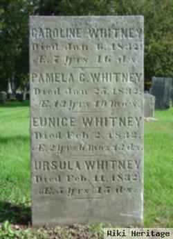 Pamela C. Whitney