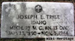 Joseph L Tribe