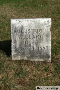 Augustus Willard