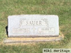 Frank F Sauer