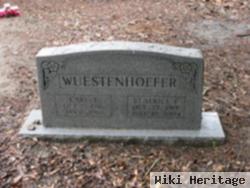 Carl J Wuestenhoefer