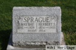 Infant Sprague