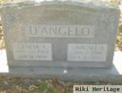 Genita T. D'angelo