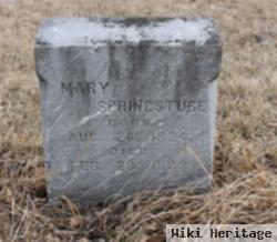 Mary Springstube