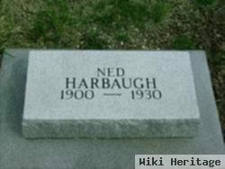 Ned Harbaugh