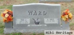 Ted J. Ward