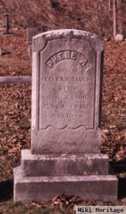 Phebe A. Dauchy